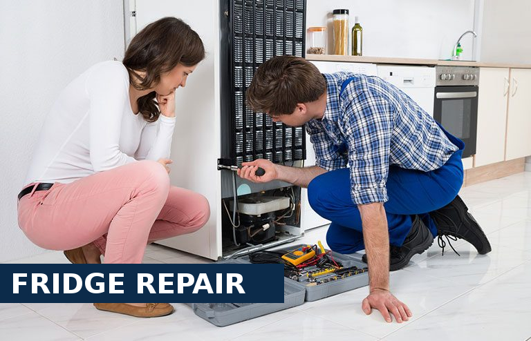 Fridge Repair Perivale